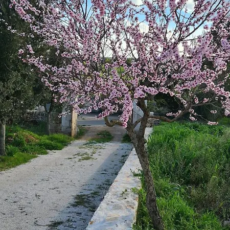 度假居 Luxury Trulli Di Giulia, Exclusive With Private Pool